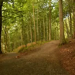 Vejle City Camping 3*