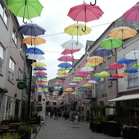Vejle City Camping