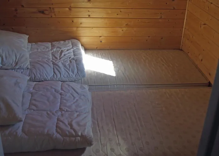 Camping Vejle City Camping 3*