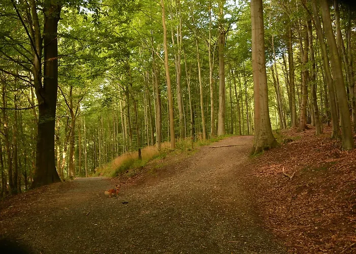 Vejle City Camping 3*